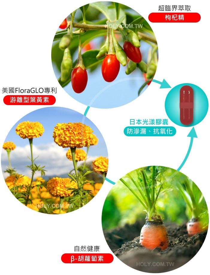 湧鵬生技 美國專利葉黃素+超臨界萃取枸杞精(素食膠囊)60粒產品資訊
