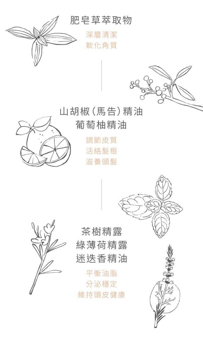 肥皂草溫和洗髮露-04