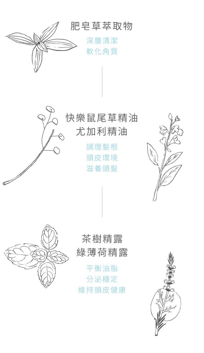 璞草園-肥皂草調理洗髮露(250ml)-04