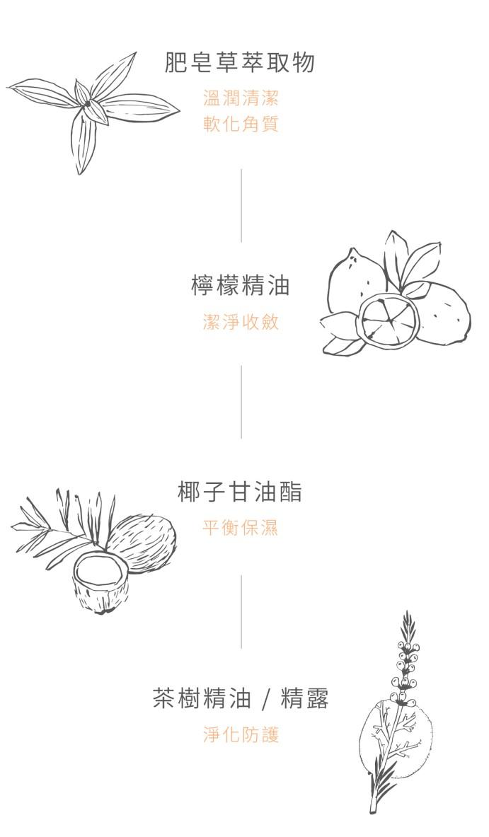 璞草園-肥皂草乾淨潔手露(250ml)產品資訊