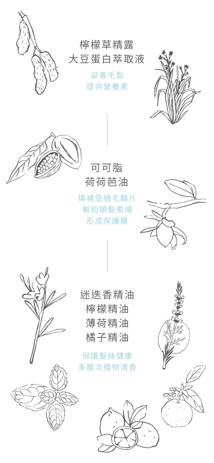 璞草園-亮澤柔順護髮素250ml