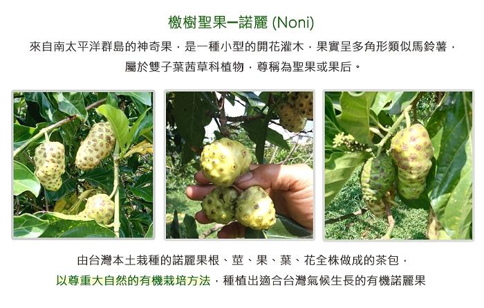 康寶生技-NONI有機諾麗果茶包(20包X2袋)(效期至2021年9月22日)產品資訊
