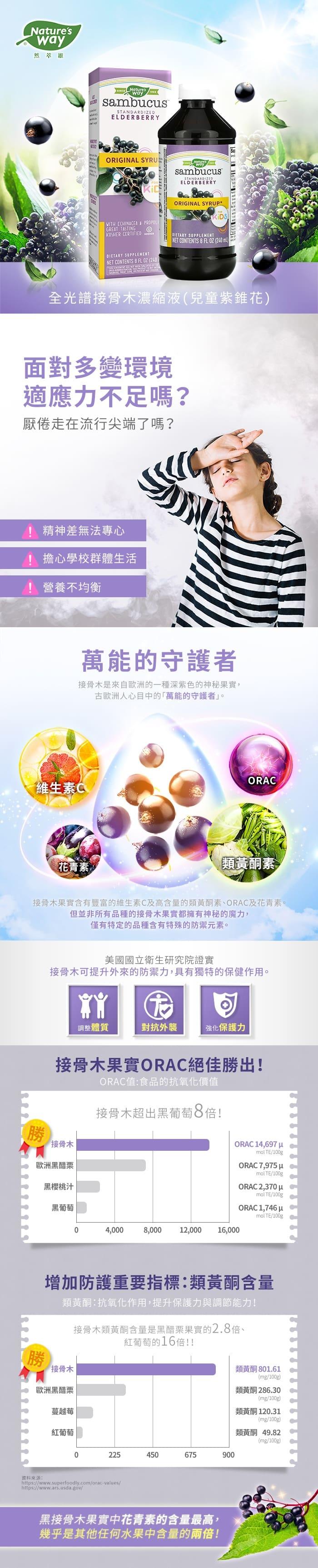 Nature’s Way然萃維 全光譜接骨木濃縮液(兒童紫錐花)(240ml)產品資訊