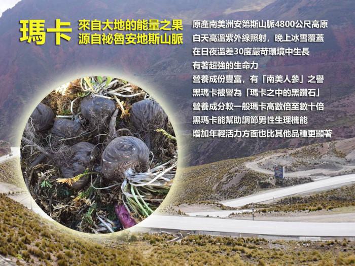 安地斯雪蔘-秘魯頂級純黑瑪卡粉(2公克X30包)產品資訊
