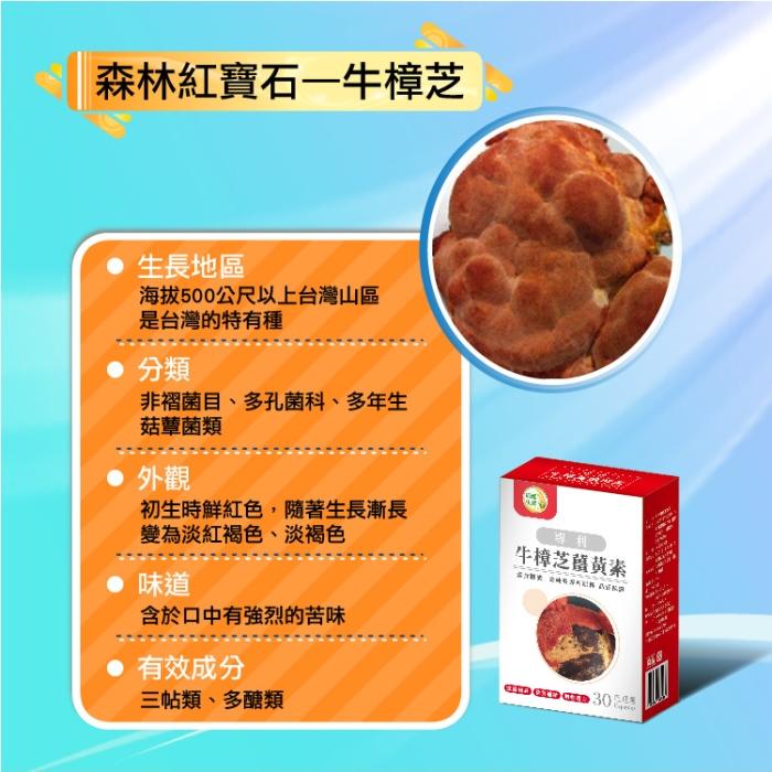 辰鑫生技-專利牛樟芝薑黃素(30粒)產品資訊