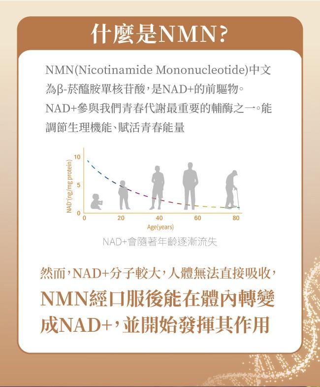 LOVITA愛維他-酵母NMN18000新型緩釋素食膠囊(60顆_60天份)(效期~2026/01)﻿產品資訊