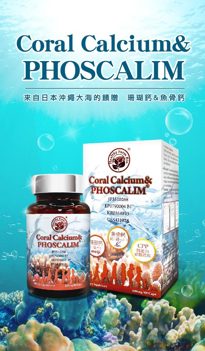 台灣康田-珊瑚鈣&魚骨鈣 Coral Calcium&PHOSCALIM (60粒X3瓶)優惠組產品資訊