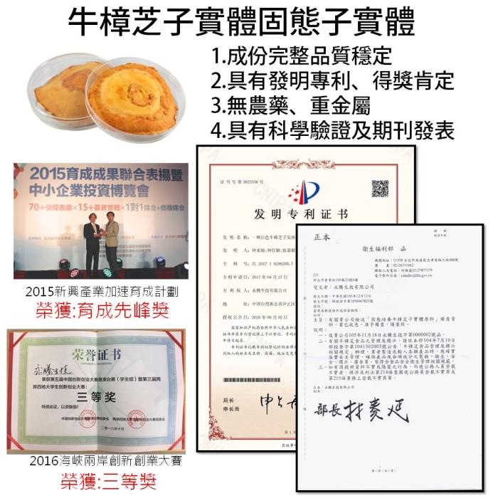 黃金樟芝-子實體原片禮盒產品資訊