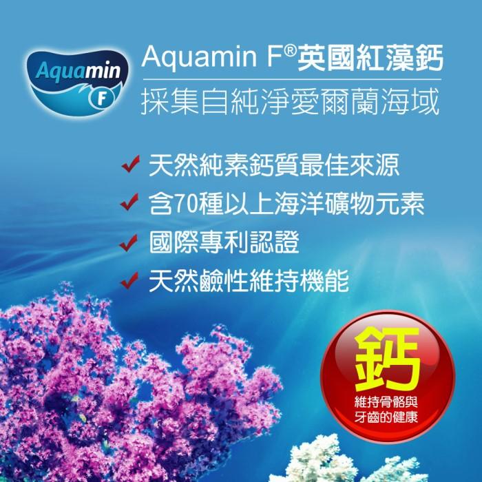 愛善那 海藻鈣+海洋鎂+維生素K2+D2純素膠囊(30顆X7瓶組)﻿產品資訊