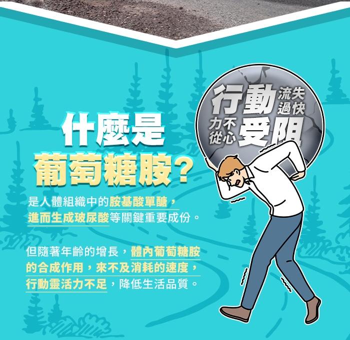 綠萃淨 敏捷葡萄糖胺1500mg活力錠(60錠X2瓶)(效期至2025年11月30日)產品資訊