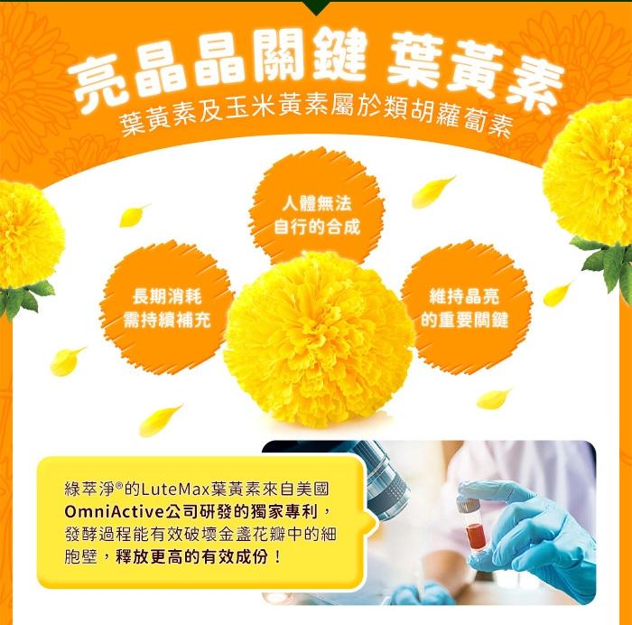 綠萃淨 Visi-Gold威視晶葉黃素+山桑子軟膠囊(39粒_39天份)(效期至2026年02月28日)產品資訊