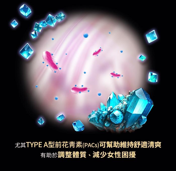 綠萃淨 50倍濃縮蔓越莓+C膠囊(90粒X2瓶)(共90天份)(效期至2026年02月28日)產品資訊