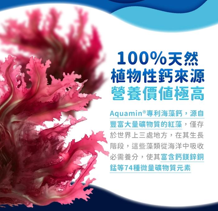 綠萃淨 愛爾蘭海藻+D3複方膠囊(60粒_60天份)產品資訊