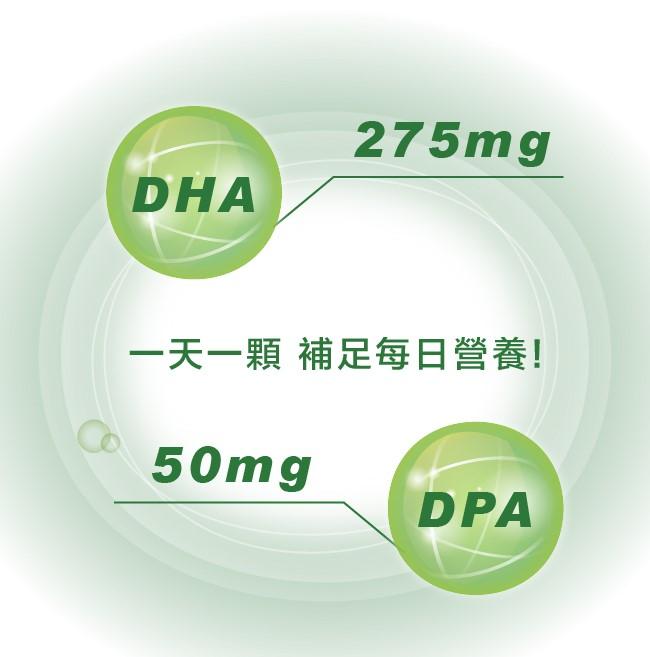 LOVITA愛維他-藻油500mg素食軟膠囊(60顆_60天份)產品資訊