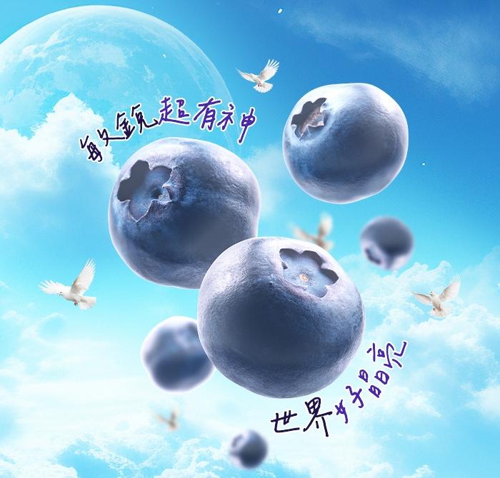 綠萃淨 山桑子精萃膠囊(100粒_50天份)產品資訊