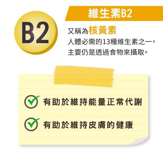 LOVITA愛維他-緩釋型維他命B2素食錠100mg(90錠_90天份)產品資訊