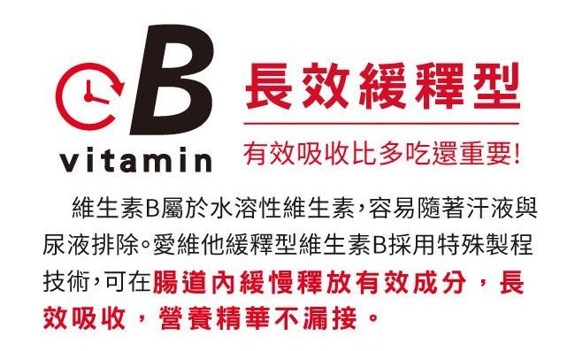 LOVITA愛維他-緩釋型維他命B6素食錠80mg(90錠_90天份)產品資訊