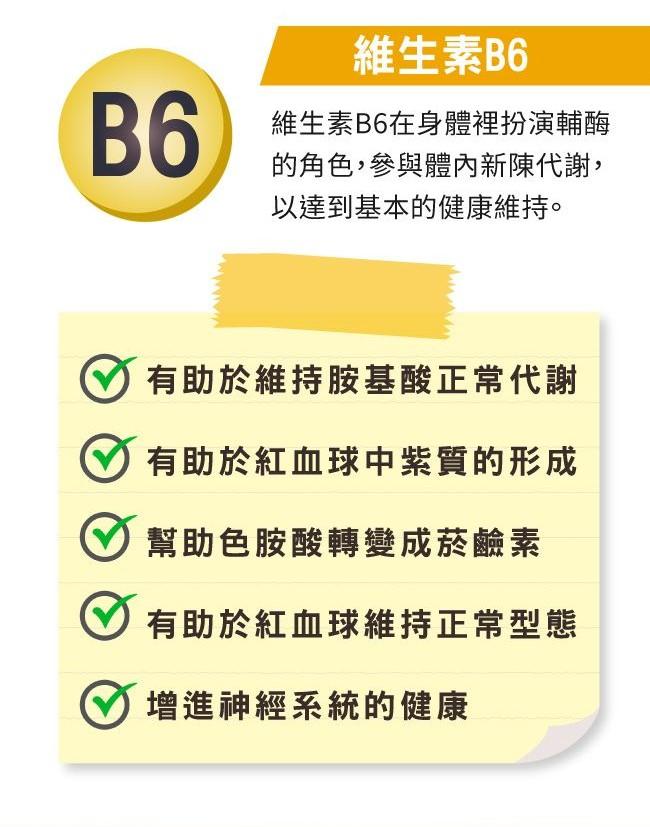 LOVITA愛維他-緩釋型維他命B6素食錠80mg(90錠_90天份)產品資訊