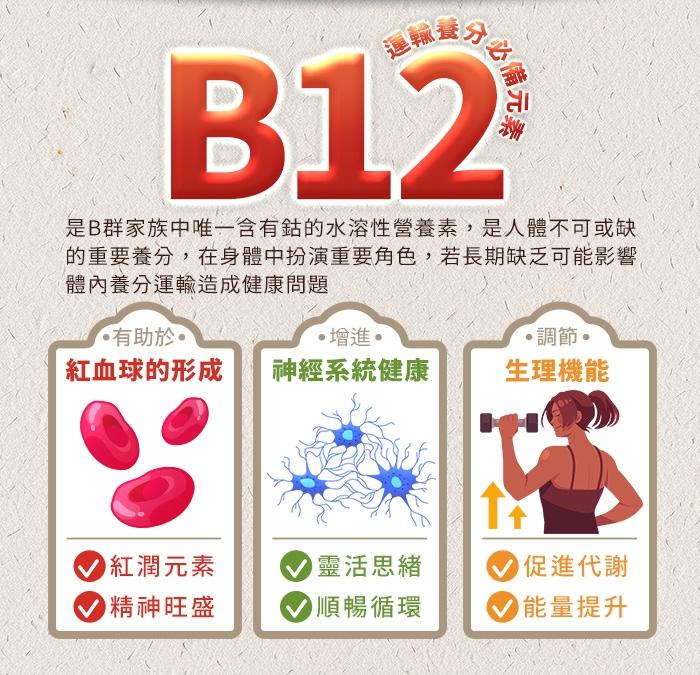綠萃淨 維生素B12 500mcg複方錠(120錠)產品資訊