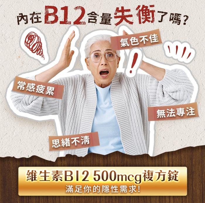 綠萃淨 維生素B12 500mcg複方錠(120錠)產品資訊