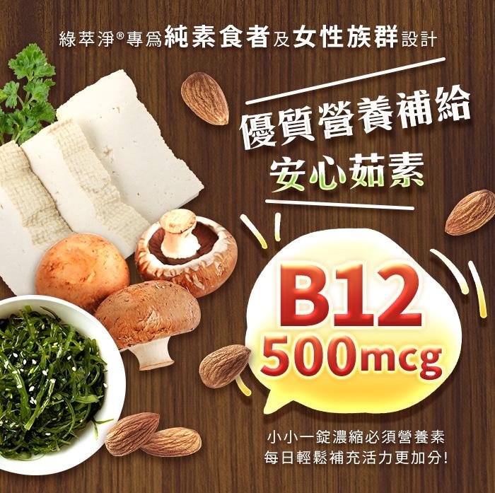 綠萃淨 維生素B12 500mcg複方錠(120錠)產品資訊