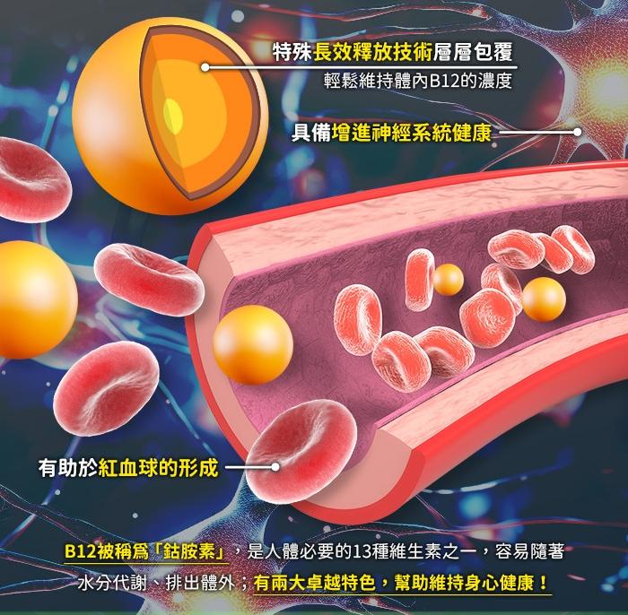 綠萃淨 緩釋型維生素B12 1000mcg錠(75錠)產品資訊