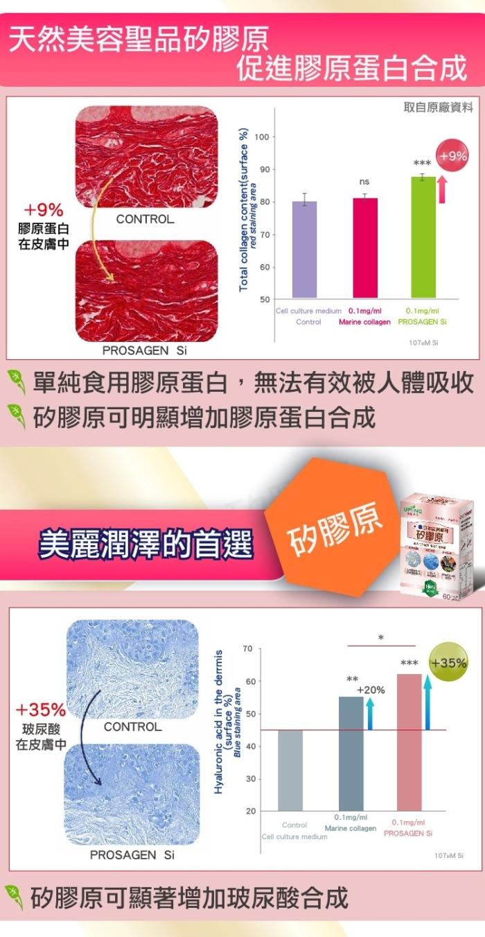 湧鵬生技-矽膠原(60粒X6盒)(共90天份)產品資訊