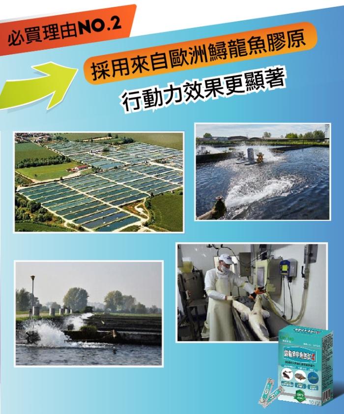 湧鵬生技-鱘龍魚甲魚胜肽晶凍(10包X6盒)產品資訊