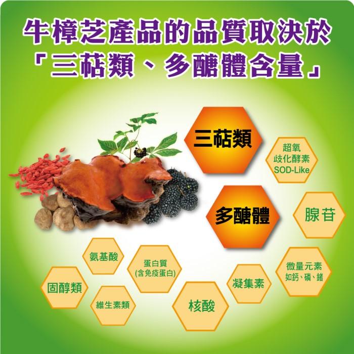 特活綠-頂級牛樟芝養生精華液(30mlx10瓶/盒)﻿產品資訊