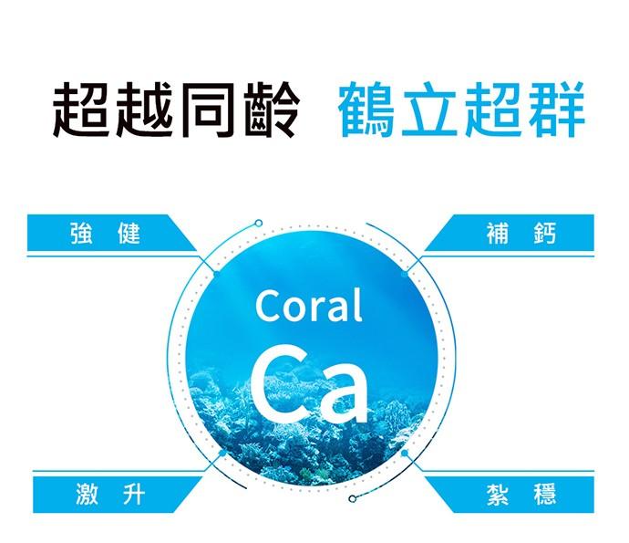 NOW健而婷-珊瑚鈣(100顆)產品資訊