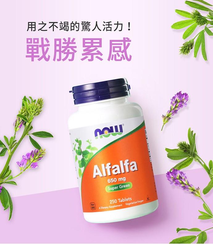 NOW健而婷-紫花葉綠素(紫花苜蓿)(250顆)3瓶優惠組﻿產品資訊