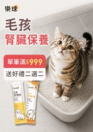 1298 1287 1213 1171 1126 樂球