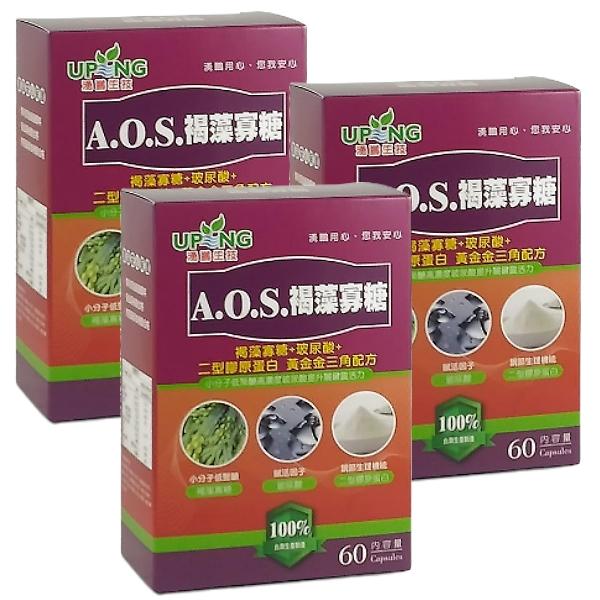 湧鵬生技-AOS褐藻寡糖(60粒X3盒)