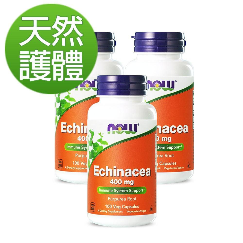 NOW健而婷-紫錐花(100顆)(3瓶優惠組)