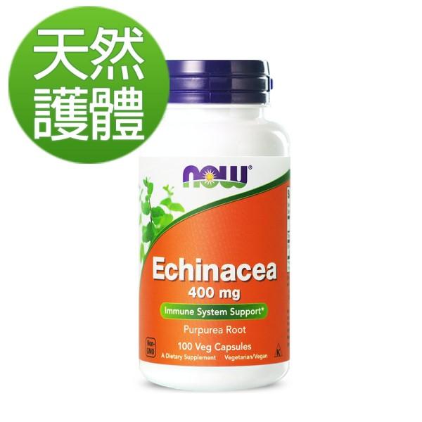 NOW健而婷-紫錐花(100顆/瓶)