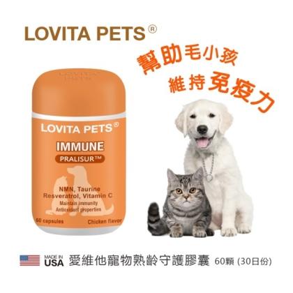 LOVITA PETS愛維他-寵物熟齡守護膠囊(60顆_30天份)
